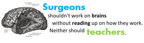 Surgeons shouldn't work on brains without reading up on how they work. Neither should teachers.